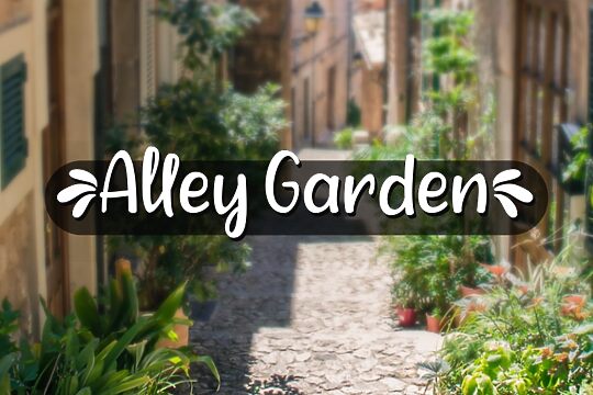 A Alley Garden