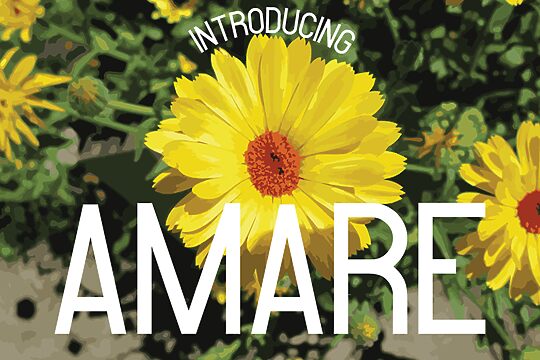 Amare