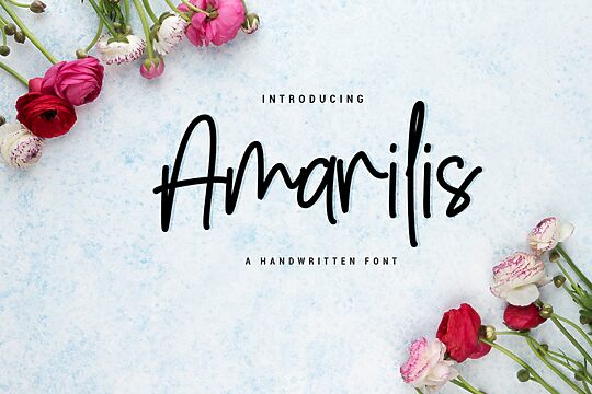 Amarilis