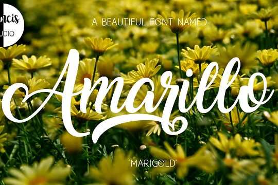 Amarillo