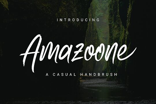 Amazoone