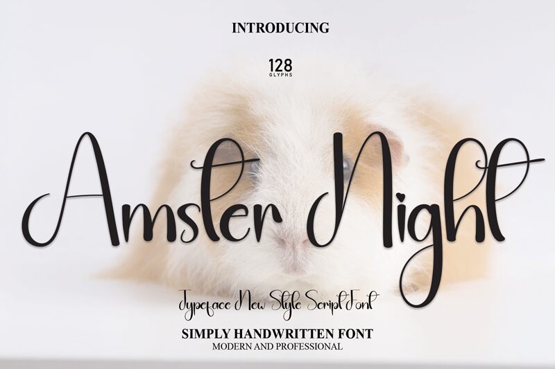 Amster Night