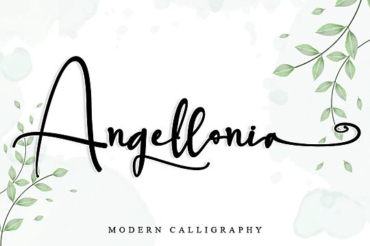 Angellonia