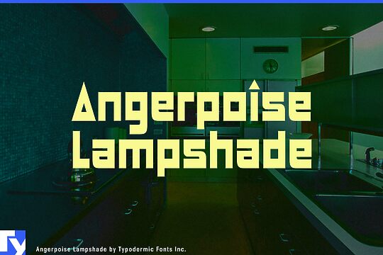 Angerpoise Lampshade