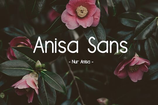 Anisa Sans
