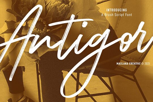 Antigor