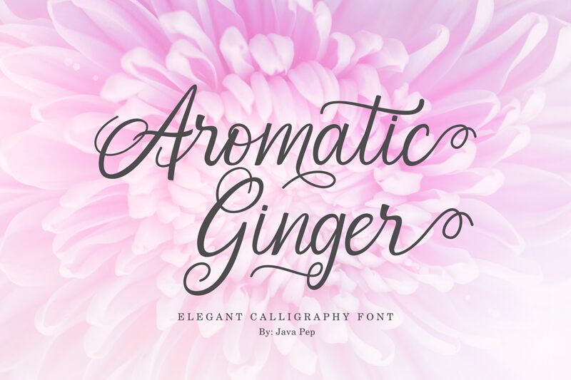 Aromatic Ginger