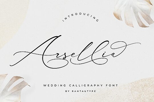 Arsellia