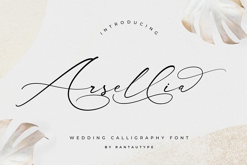 Arsellia