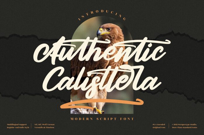 Authentic Calisttera