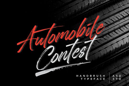 Automobile Contest