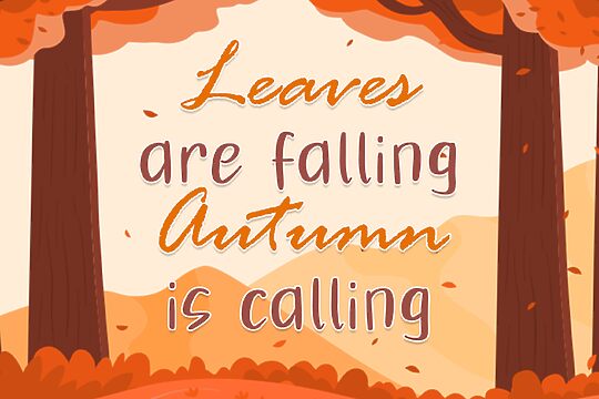 Autumn Fall