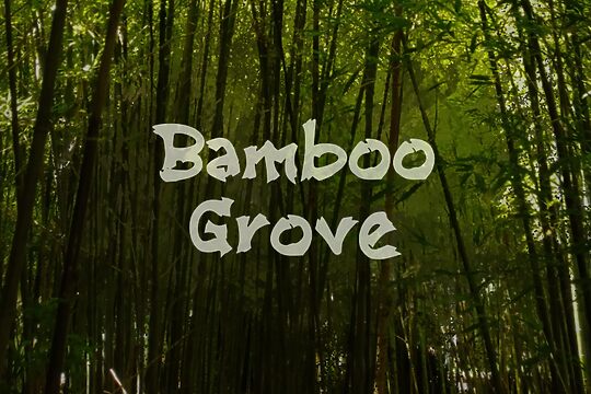 b Bamboo Grove