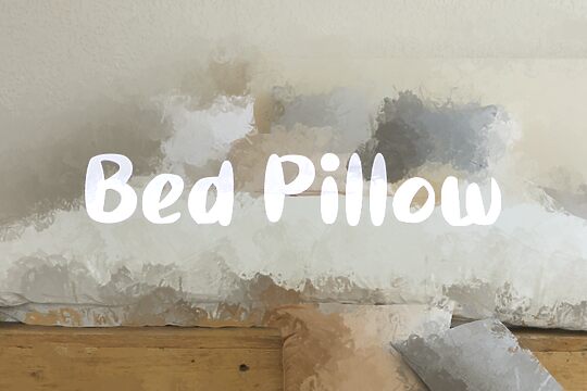 b Bed Pillow