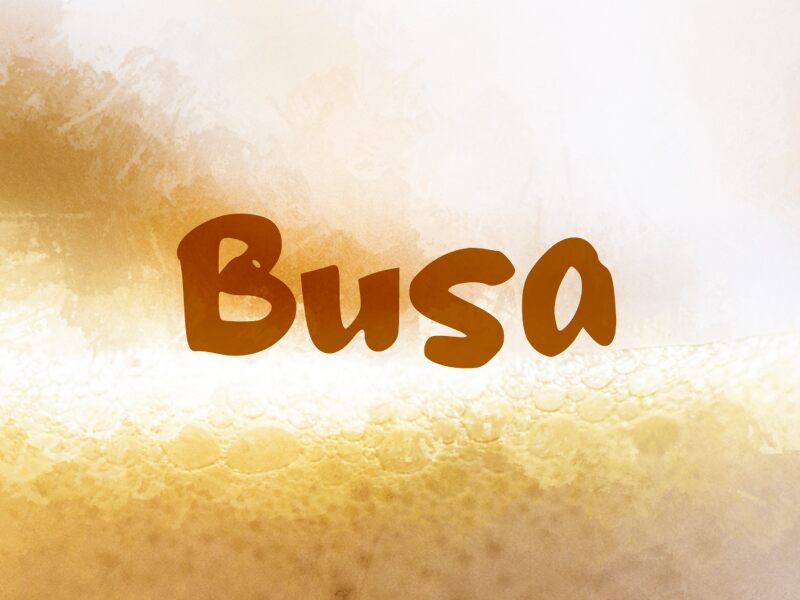 b Busa