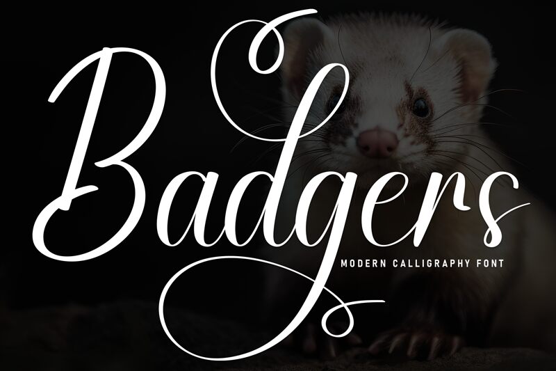 Badgers