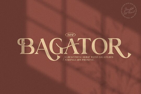 Bagator