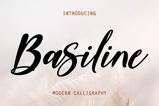 Basiline