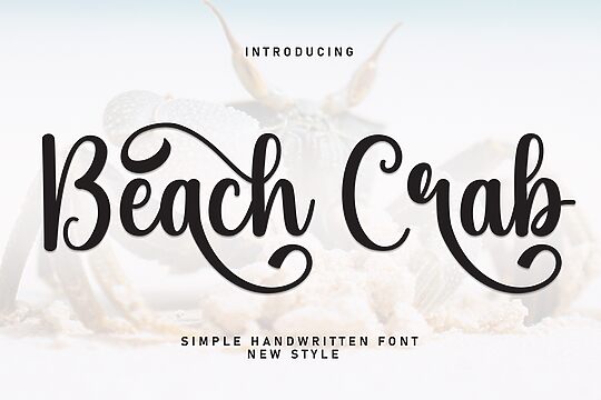 Beach Crab