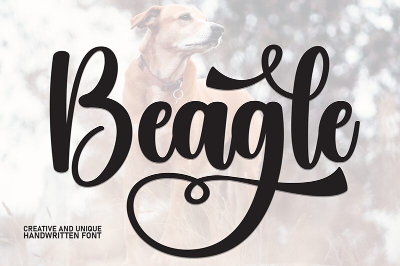 Beagle