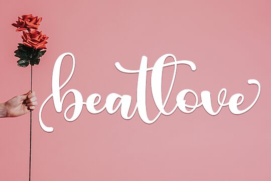 Beatlove