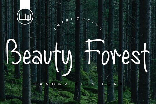Beauty Forest