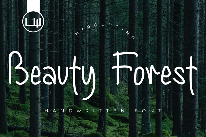 Beauty Forest