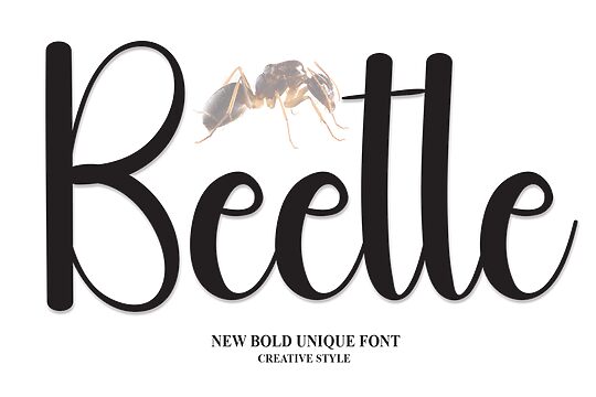 Beetle