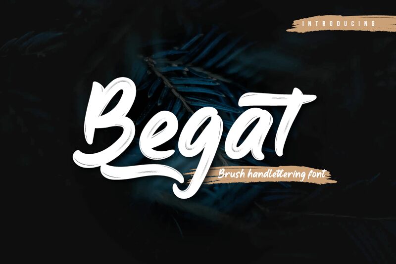 Begat