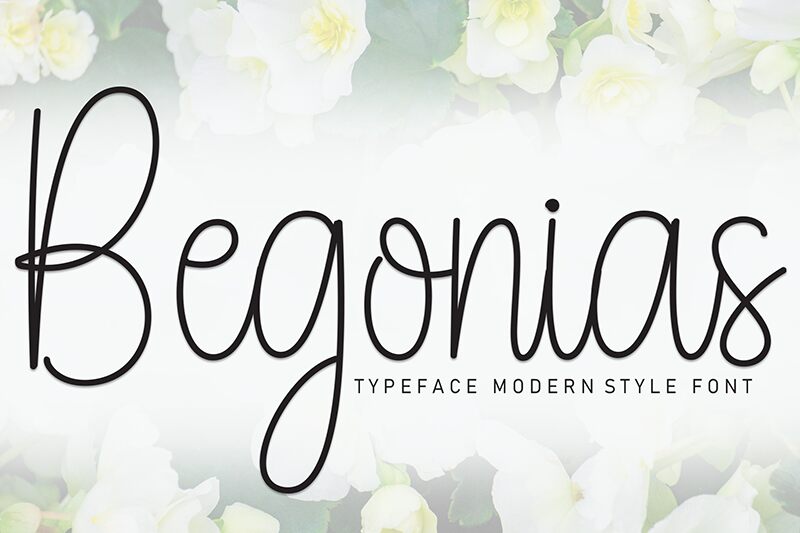 Begonias