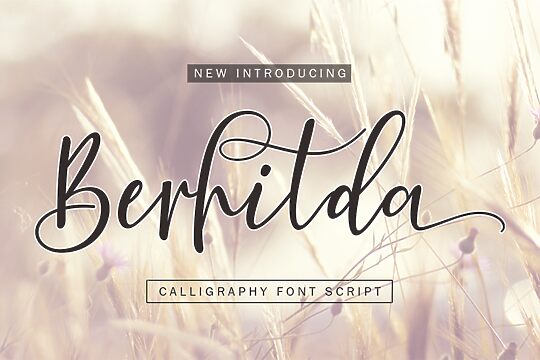 Berhilda Script