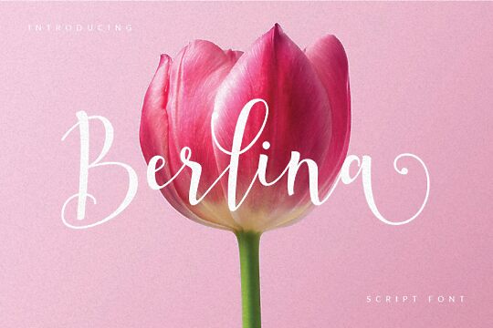 Berlina Script