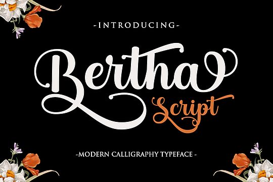 Bertha Script