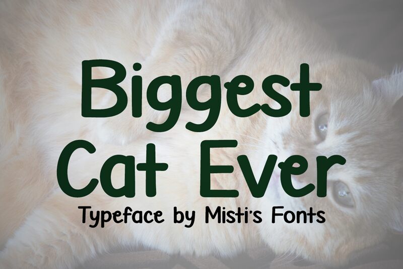 Biggest Cat Ever
