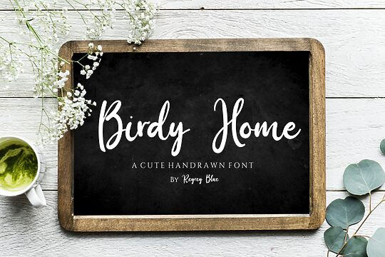 Birdy Home