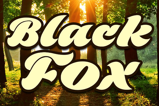 Black Fox