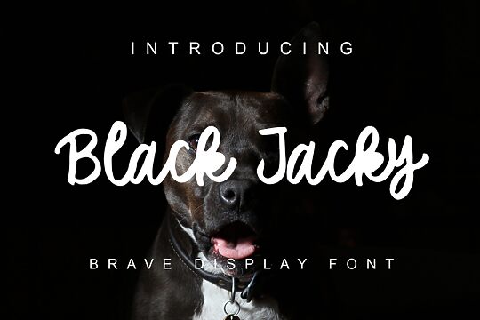 Black Jacky