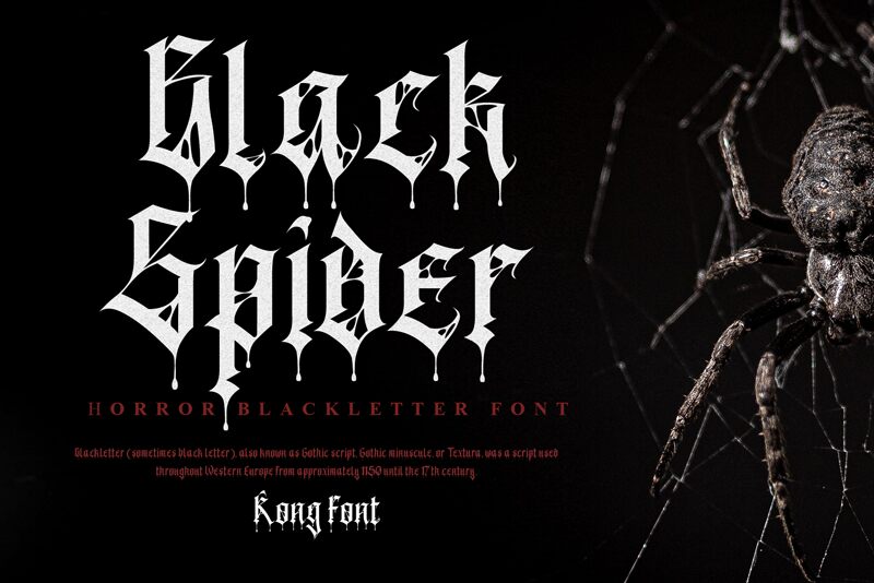 Black Spider