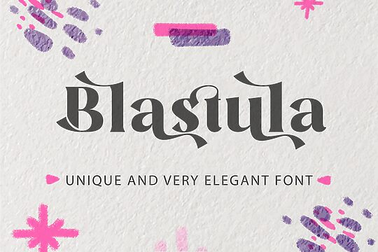 Blastula