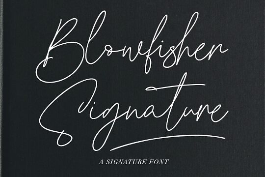 Blowfisher