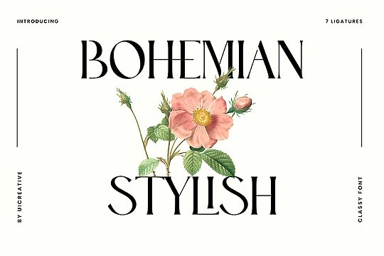 Bohemian Stylish