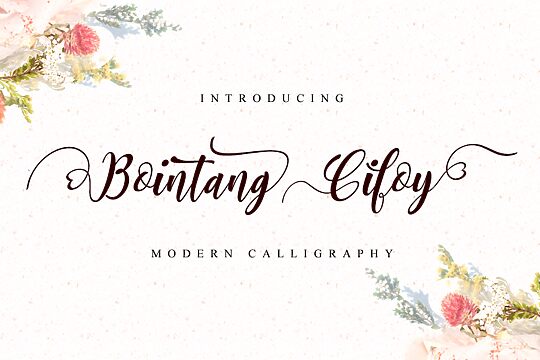 Bointang Cifoy