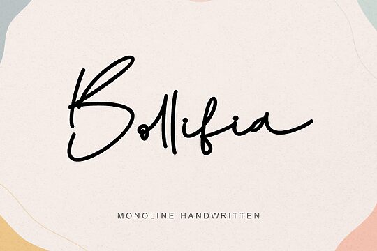 Bollifia