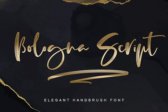 Bologna Script