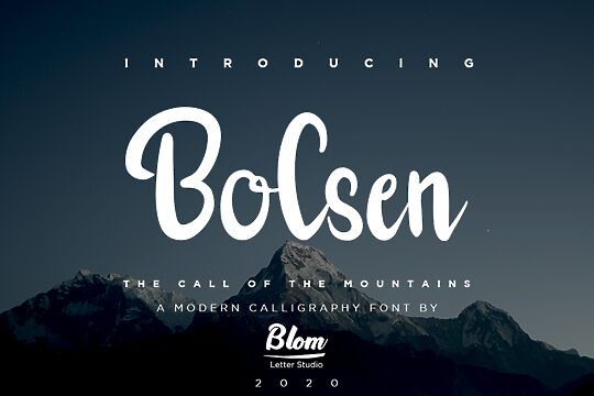 Bolsen