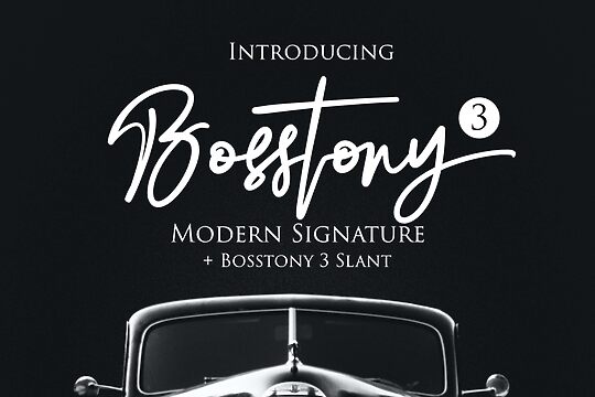 Bosstony 3