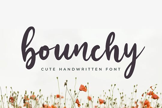 Bounchy
