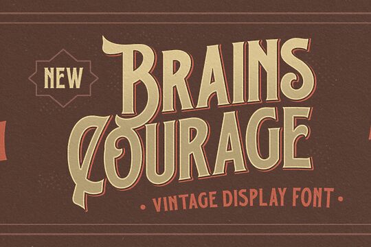 Brains Courage