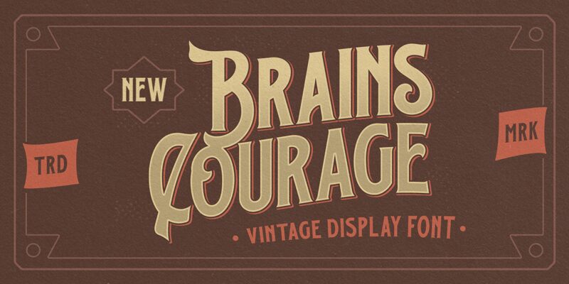 Brains Courage