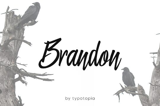 Brandon